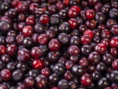 Huckleberry Popcorn