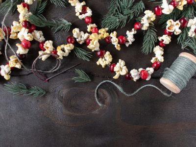 Cranberry Garland