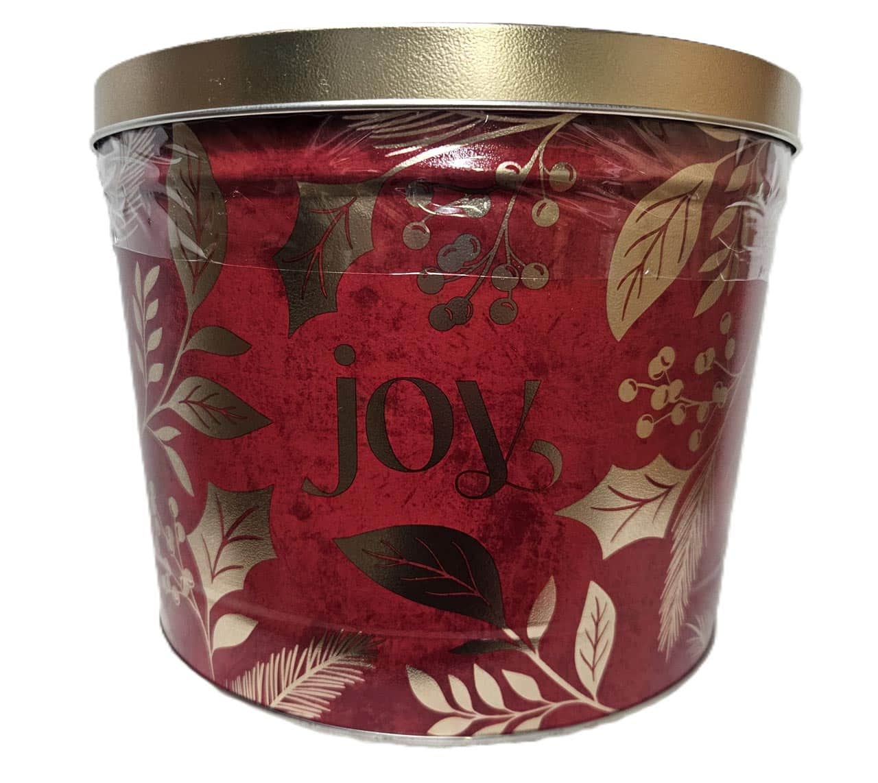 Joy-2-gal