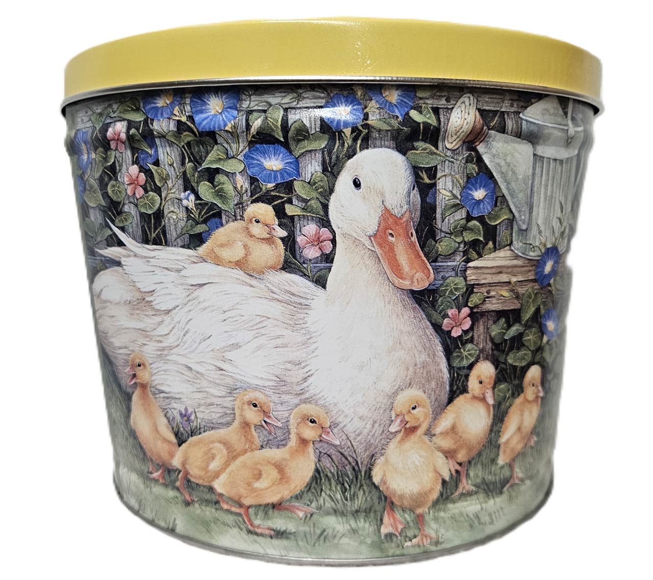 Lucky-Ducks-2-gal