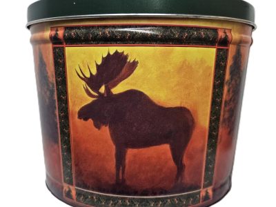 Moose on the Loose