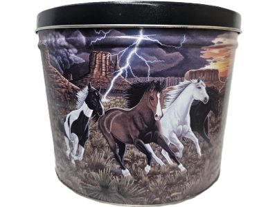 Thunder Run